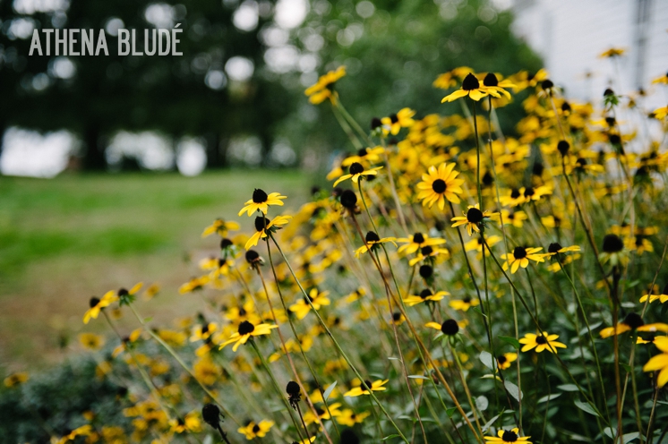 town_farm_wedding_athena_blude_photography_058